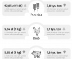 Rolnictwo w województwie świętokrzyskim - styczeń 2025 r. Foto