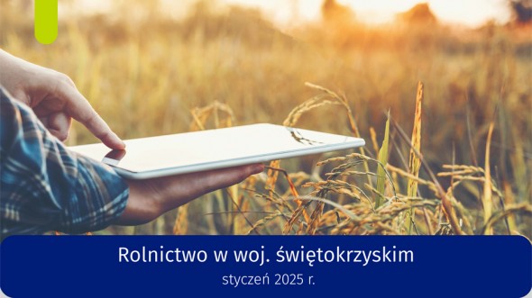 Rolnictwo w województwie świętokrzyskim - styczeń 2025 r.