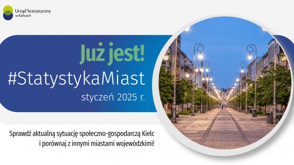 Statystyka Miast - styczeń 2025