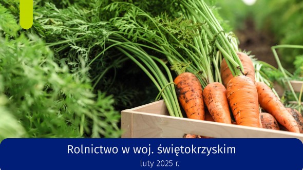 Rolnictwo w województwie świętokrzyskim - luty 2025 r.