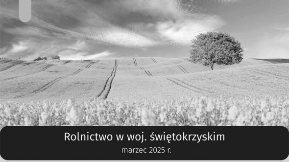 Rolnictwo w województwie świętokrzyskim - marzec 2025 r.