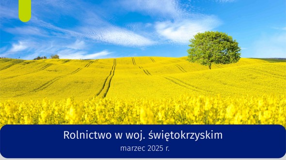 Rolnictwo w województwie świętokrzyskim - marzec 2025 r.