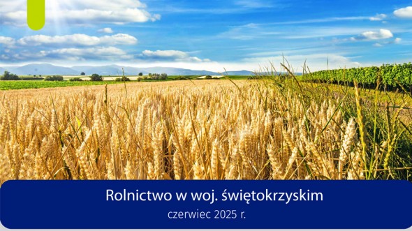 Rolnictwo w województwie świętokrzyskim - czerwiec 2025 r.