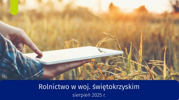 Rolnictwo w województwie świętokrzyskim - sierpień 2025 r.