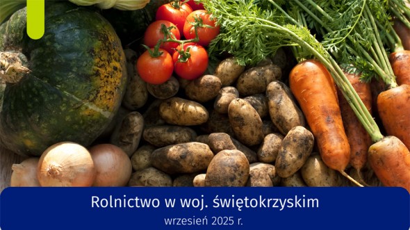 Rolnictwo w województwie świętokrzyskim - wrzesień 2025 r.