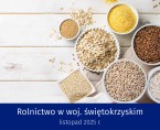 Rolnictwo w województwie świętokrzyskim - listopad 2025 r. Foto