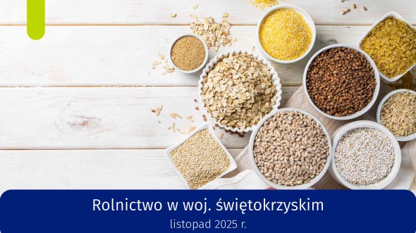 Rolnictwo w województwie świętokrzyskim - listopad 2025 r.
