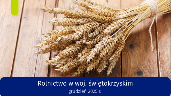 Rolnictwo w województwie świętokrzyskim - grudzień 2025 r.