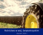 Rolnictwo w województwie świętokrzyskim - styczeń 2026 r. - infografika Foto