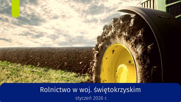 Rolnictwo w województwie świętokrzyskim - styczeń 2026 r. - infografika
