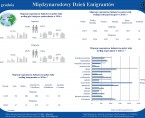 Międzynarodowy Dzień Emigrantów Foto