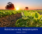 Rolnictwo w województwie świętokrzyskim - marzec 2026 r. infografika Foto
