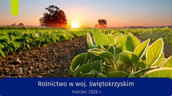Rolnictwo w województwie świętokrzyskim - marzec 2026 r. infografika