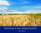 Rolnictwo w województwie świętokrzyskim - maj 2026 r. INFOGRAFIKA Foto