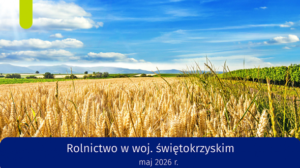 Rolnictwo w województwie świętokrzyskim - maj 2026 r. INFOGRAFIKA